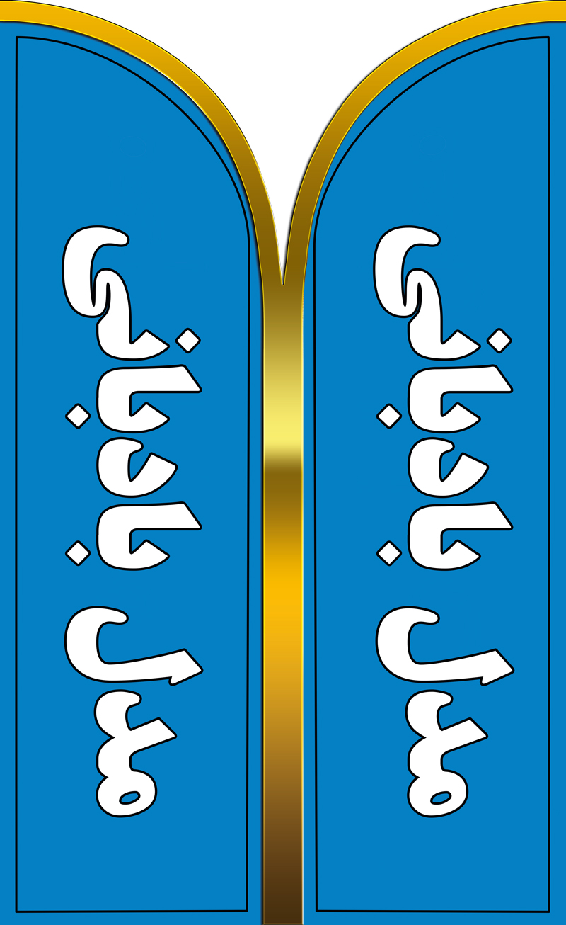 تیشرت